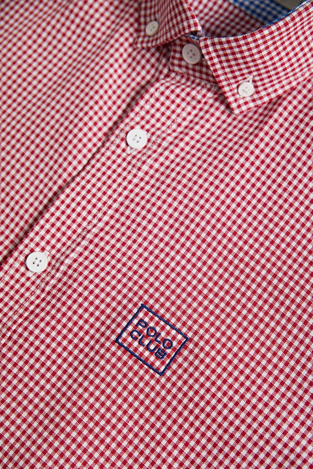 Camisa roja a cuadros vichy con detalle bordado