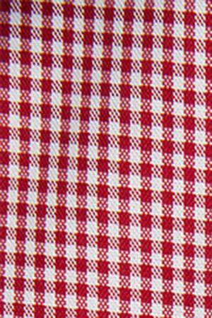 Camisa roja a cuadros vichy con detalle bordado